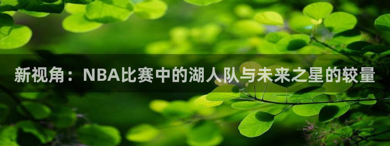 新视角：NBA比赛中的湖人队与未来之星的较量