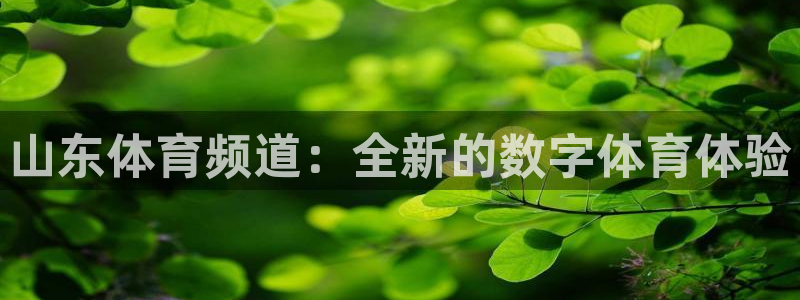 山东体育频道：全新的数字体育体验