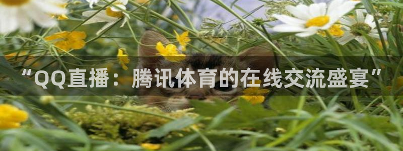 “QQ直播：腾讯体育的在线交流盛宴”
