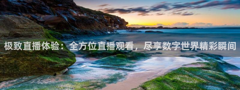 极致直播体验：全方位直播观看，尽享数字世界精彩瞬间