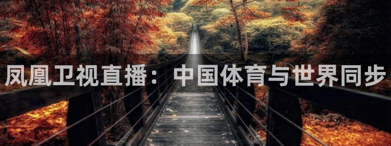 凤凰卫视直播：中国体育与世界同步