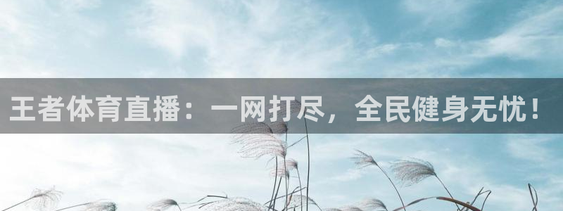 王者体育直播：一网打尽，全民健身无忧！